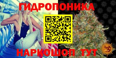 марки nbome Новокубанск