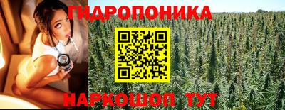 jwh Новодвинск