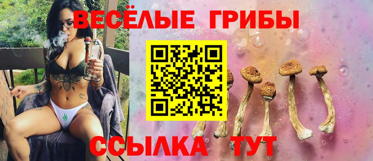 Сухой Лог  Галлюциногенные грибы MAGIC MUSHROOMS  Вход с VPN 