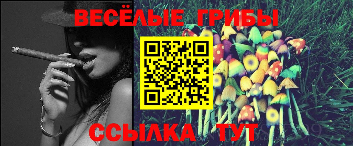 Псилоцибиновые грибы ЛСД Сухой Лог